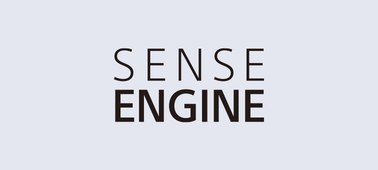    Black texts in gray background reading as “sense engine”